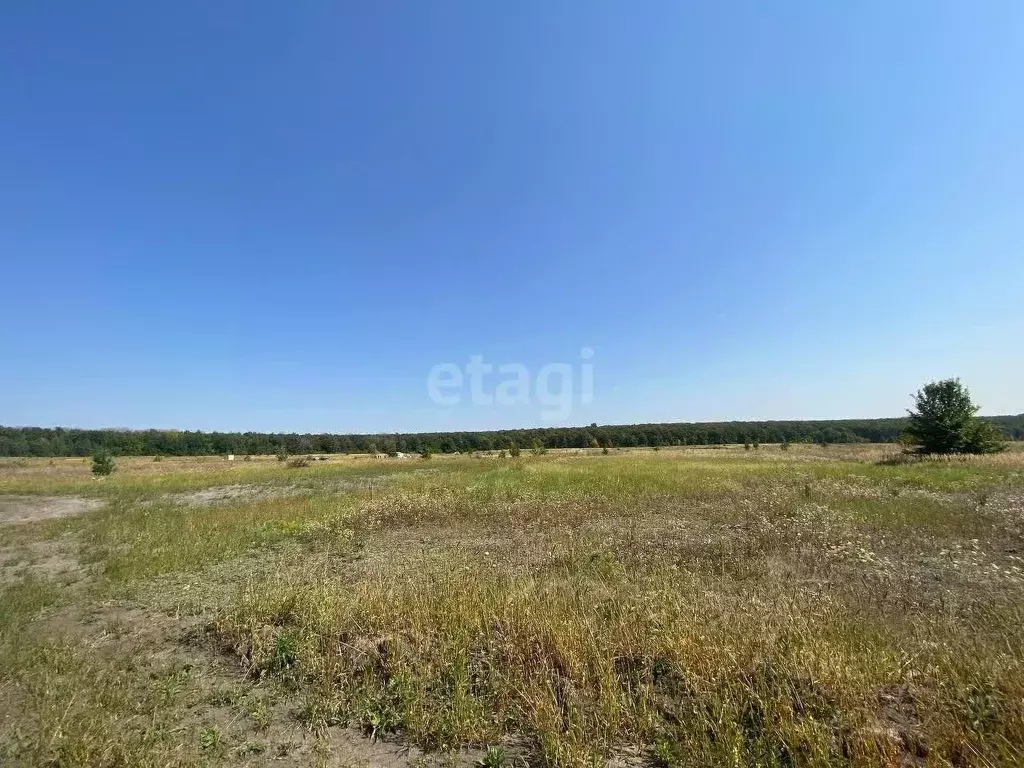 Участок в Белгородская область, Старый Оскол Пушкарские Дачи-2 мкр,  ... - Фото 0