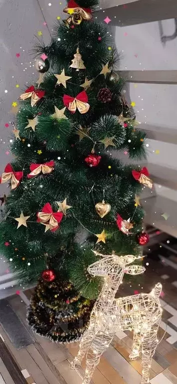 Дом в Ленинградская область, Приозерский район, Ларионовское с/пос, ... - Фото 1