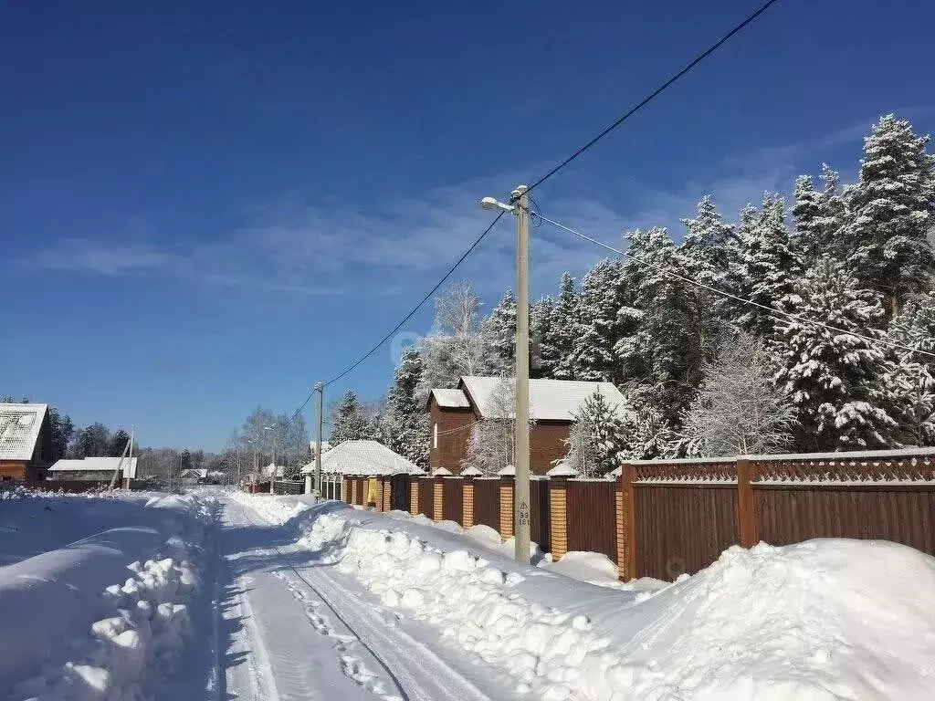 Участок в Новосибирская область, Новосибирский район, Кубовинский ... - Фото 1