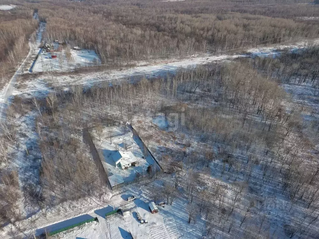 Участок в Хабаровский край, Хабаровский район, Осиновореченское с/пос, ... - Фото 2