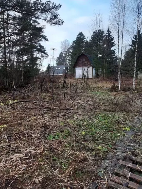Участок в Ленинградская область, Выборгский район, Полянское с/пос, ... - Фото 1
