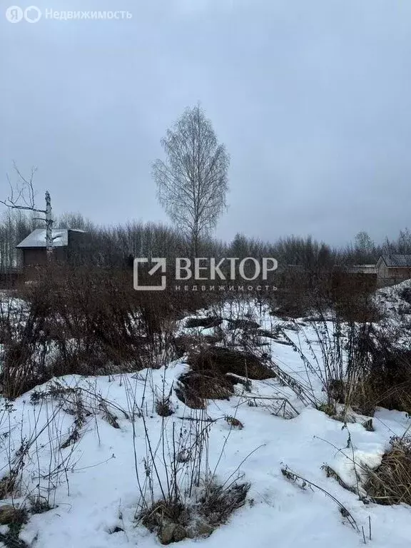 Участок в Ярославский муниципальный округ, деревня Алешково, 3-й ... - Фото 1