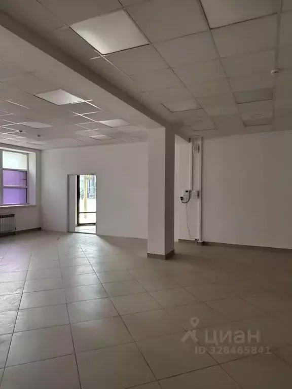 Торговая площадь в Калмыкия, Элиста ул. А.С. Пушкина, 19 (590 м) - Фото 2