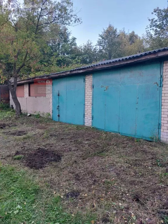 Помещение свободного назначения (226.8 м) - Фото 1