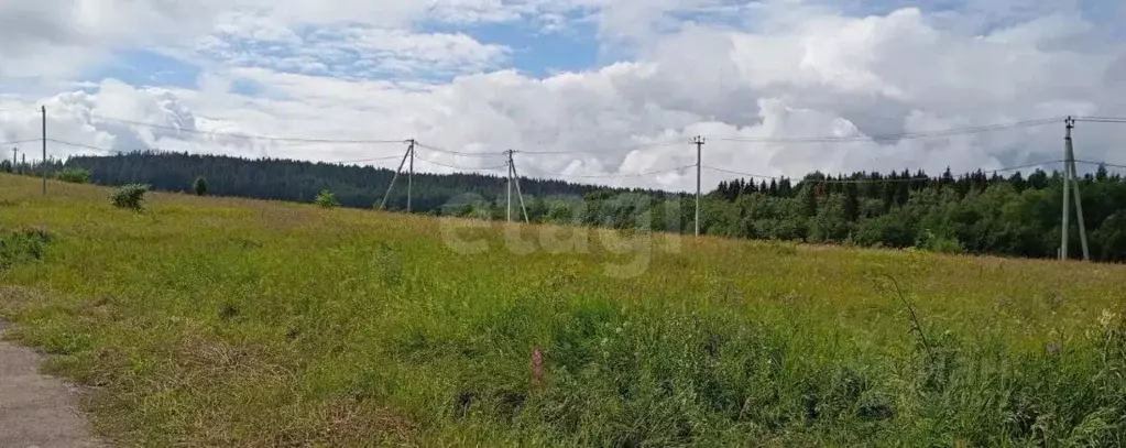 Участок в Пермский край, Пермский район, д. Ложки ул. Ключевая (14.0 ... - Фото 0