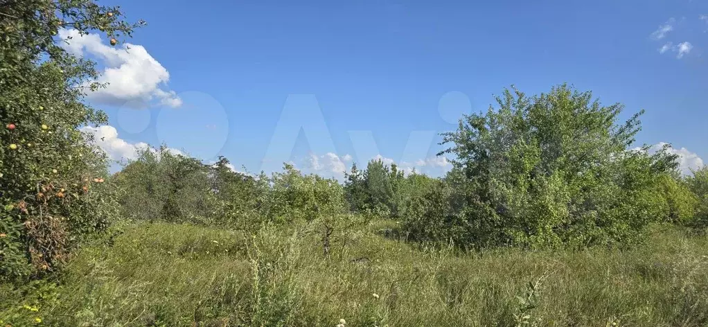Участок 15 сот. (СНТ, ДНП) - Фото 0