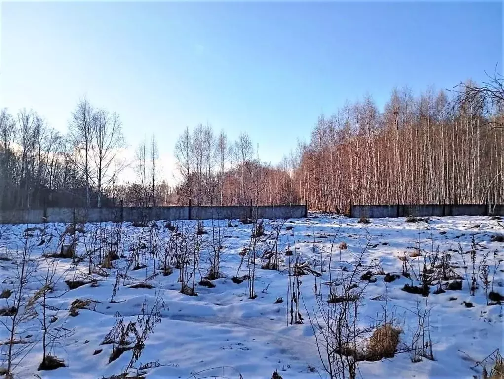Участок в Омская область, Омский район, пос. Омский ул. Яблоневый сад ... - Фото 2