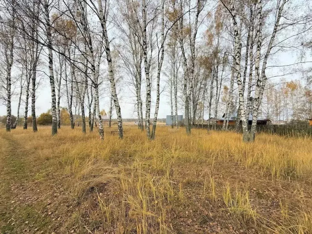 Участок в Владимирская область, Покров городской округ, с. Марково ул. ... - Фото 1