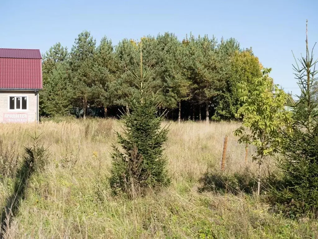 Участок в Московская область, Истра муниципальный округ, д. ... - Фото 1