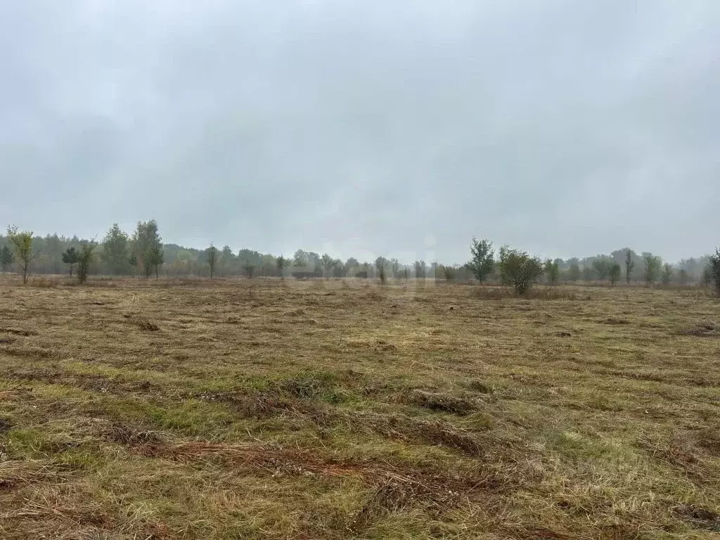 Участок в Воронежская область, Бобров  (10000.0 сот.) - Фото 1