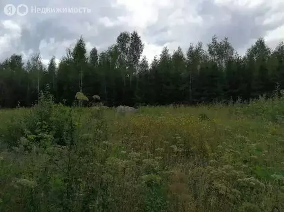 Участок в Одинцовский городской округ, деревня Белозёрово (7.6 м) - Фото 1