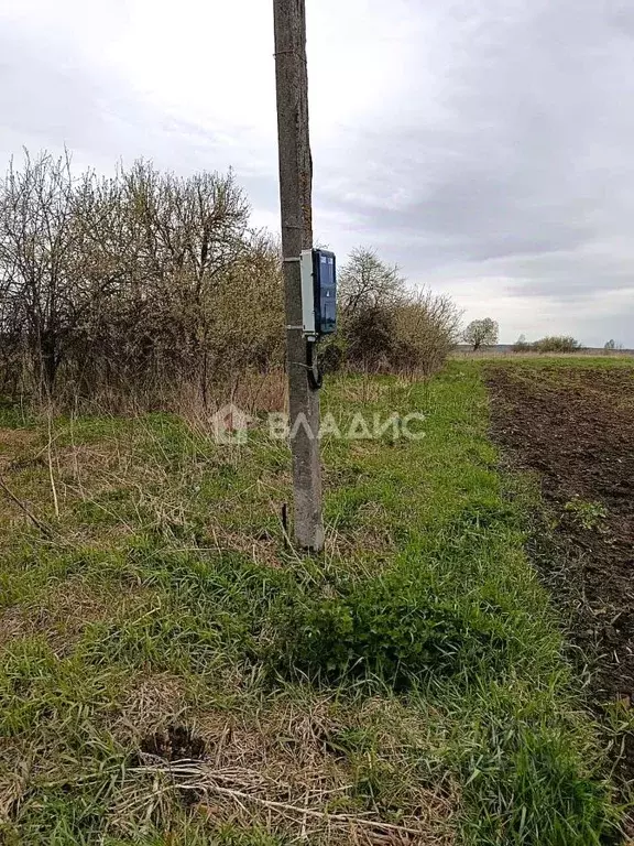 Участок в Ивановская область, Приволжский район, Плесское городское ... - Фото 1