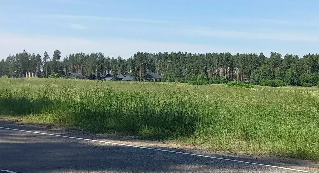 Участок в Ленинградская область, Выборгский район, Рощинское городское ... - Фото 0