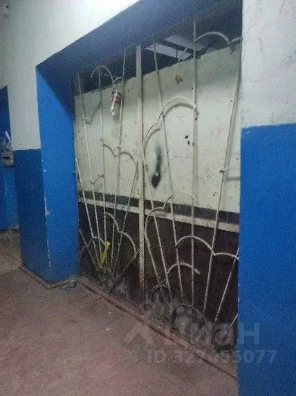 Помещение свободного назначения в Нижегородская область, Заволжье г. ... - Фото 1