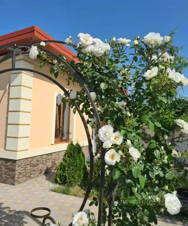 Дом в Краснодарский край, Анапа муниципальный округ, с. Цибанобалка ... - Фото 0