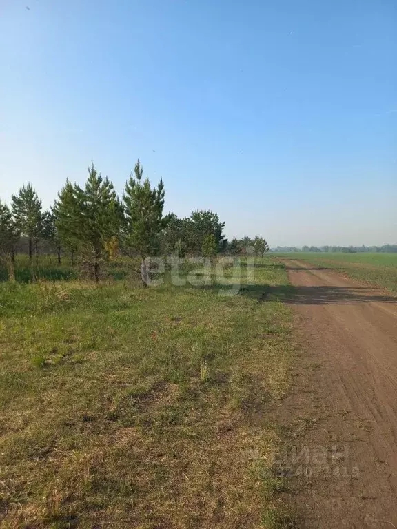 Участок в Свердловская область, Талицкий муниципальный округ, пос. ... - Фото 1