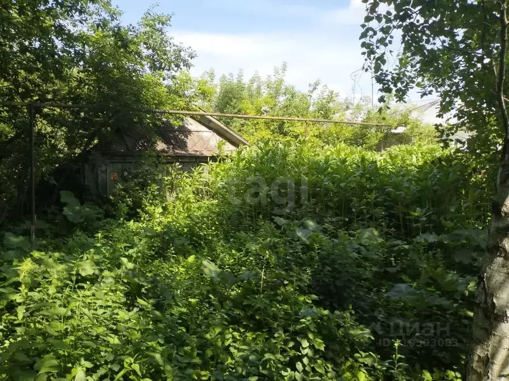 Участок в Мордовия, пос. Ромоданово ул. Набережная, 79 (18.6 сот.) - Фото 0