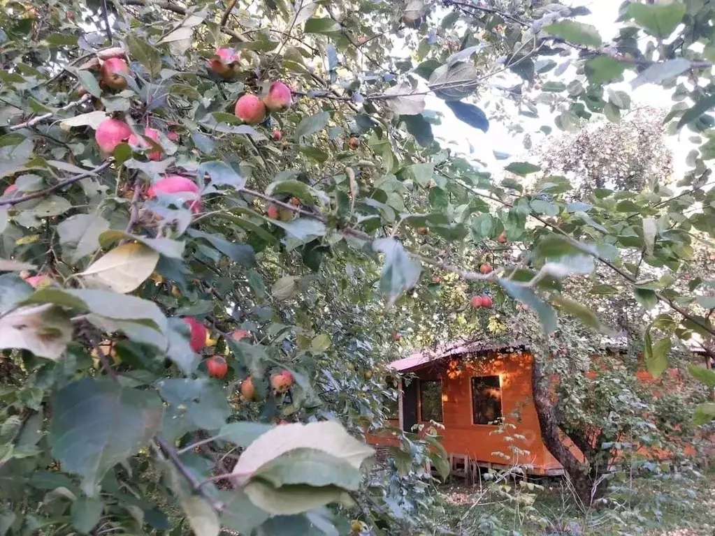 Дом в Санкт-Петербург, Санкт-Петербург, Красное Село Волна СНТ, 3-я ... - Фото 1