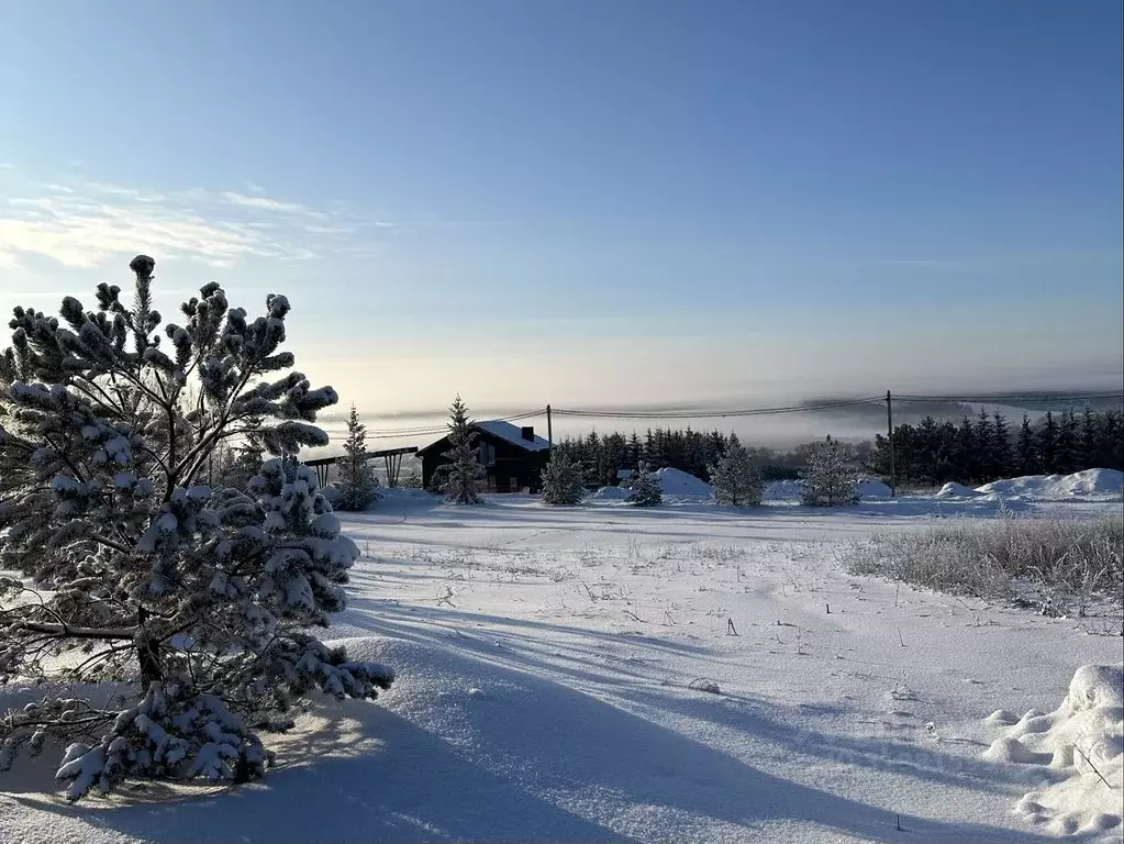 Участок в Татарстан, Зеленодольский район, Большекургузинское с/пос, ... - Фото 2