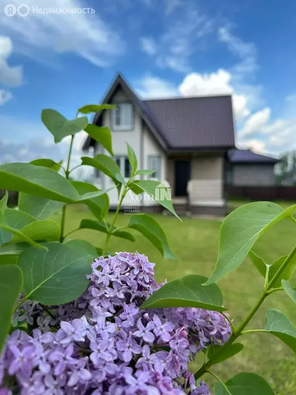 Дом в Приозерский район, Петровское сельское поселение, деревня ... - Фото 0