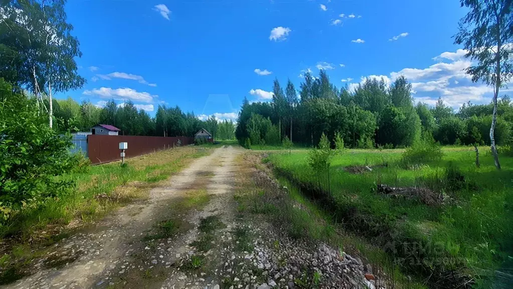 Участок в Ленинградская область, Тосненский район, Любанское городское ... - Фото 0