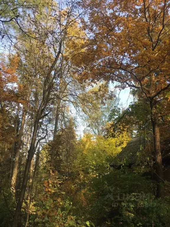 Участок в Московская область, Королев Первомайский мкр, ул. ... - Фото 1