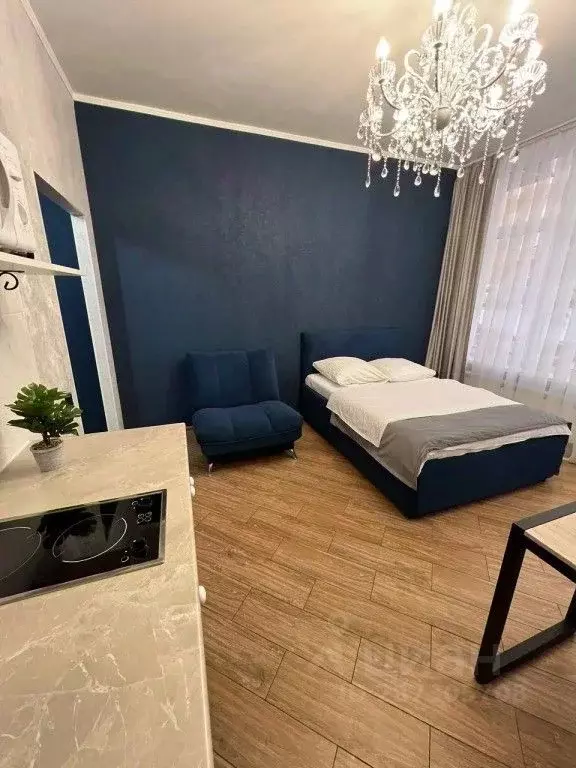 1-к кв. Иркутская область, Иркутск Байкальская ул., 244/2 (30.0 м) - Фото 1