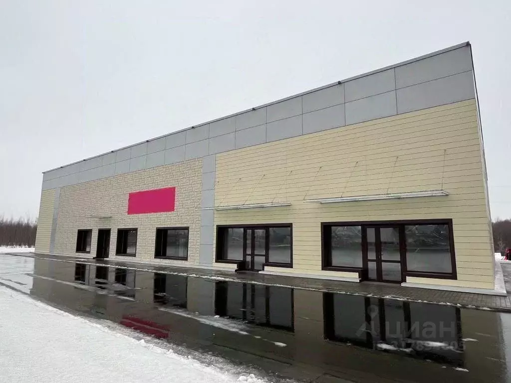 Торговая площадь в Московская область, Домодедово городской округ, д. ... - Фото 1