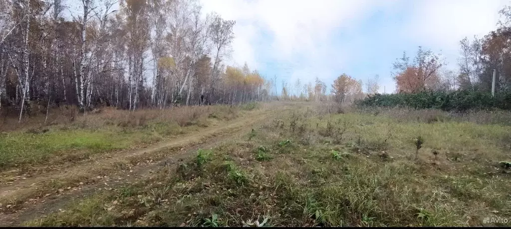 Участок в Челябинская область, Красноармейский муниципальный округ, с. ... - Фото 1