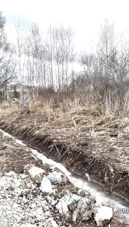 Участок в Свердловская область, Верхняя Пышма городской округ, пос. ... - Фото 2