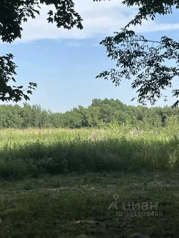 Участок в Калининградская область, Светлогорский городской округ, пос. ... - Фото 1