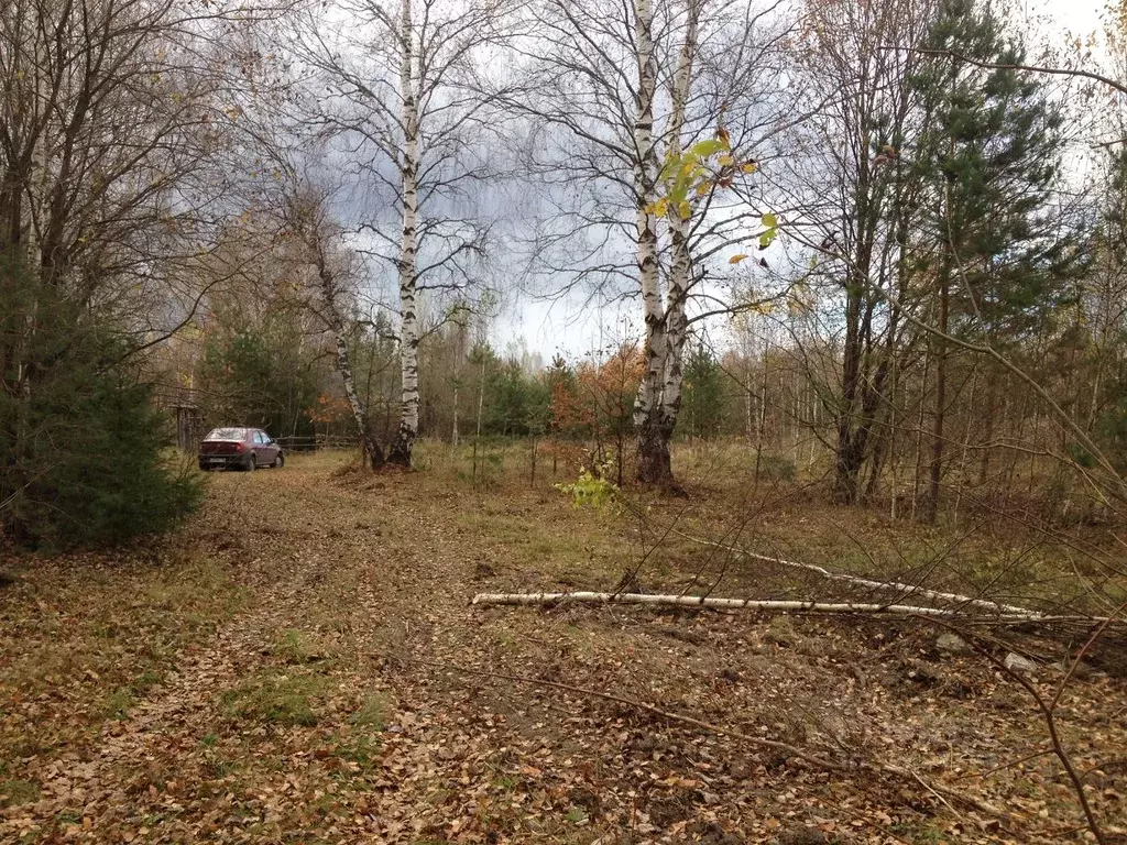 Участок в Нижегородская область, Вознесенский муниципальный округ, с. ... - Фото 2