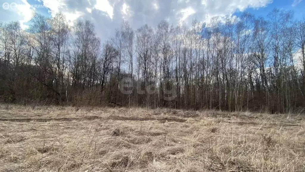 Участок в Тульская область, городской округ Тула, деревня Струково (15 ... - Фото 1