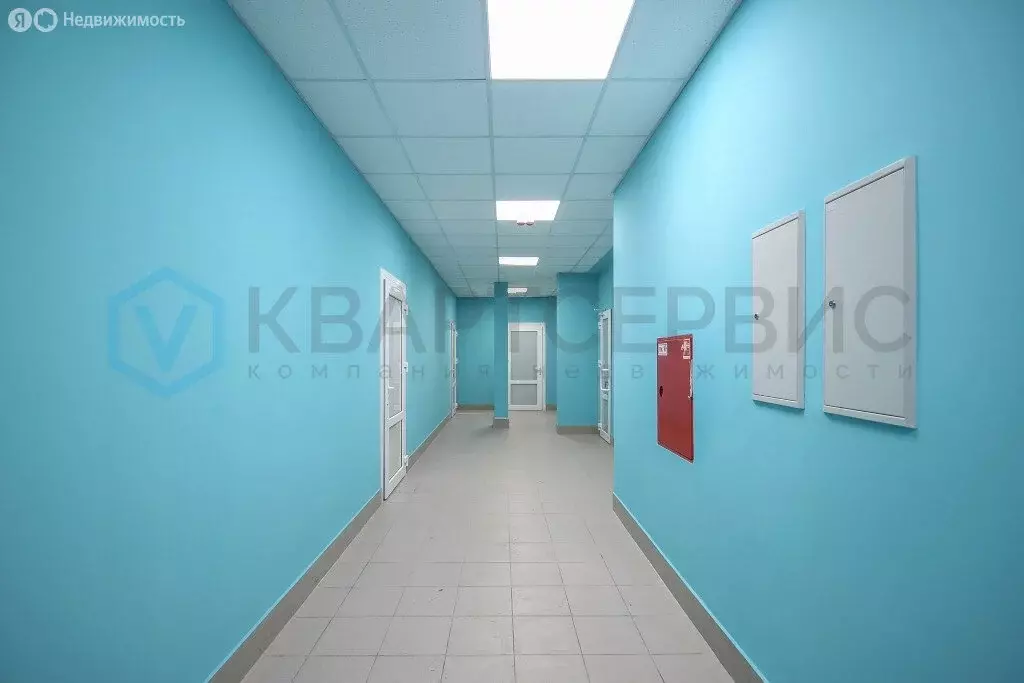 Помещение свободного назначения (250 м) - Фото 2