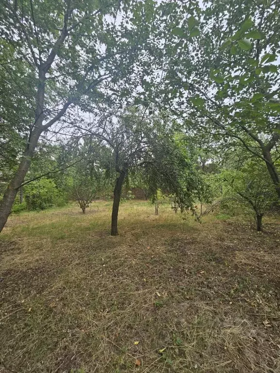 Дом в Ростовская область, Аксай ул. Гагарина (70 м) - Фото 1