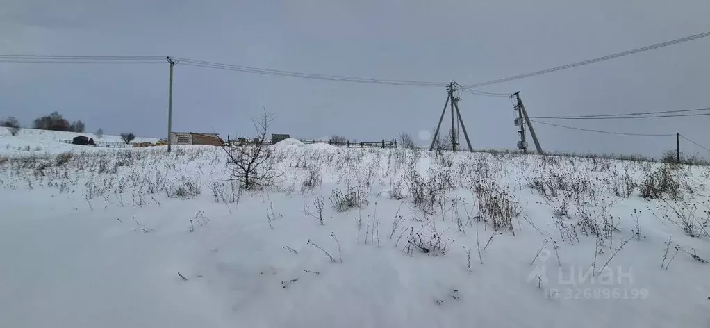 Участок в Алтай, Майминский район, пос. Алферово ул. И.А. Шаркова, 33 ... - Фото 1