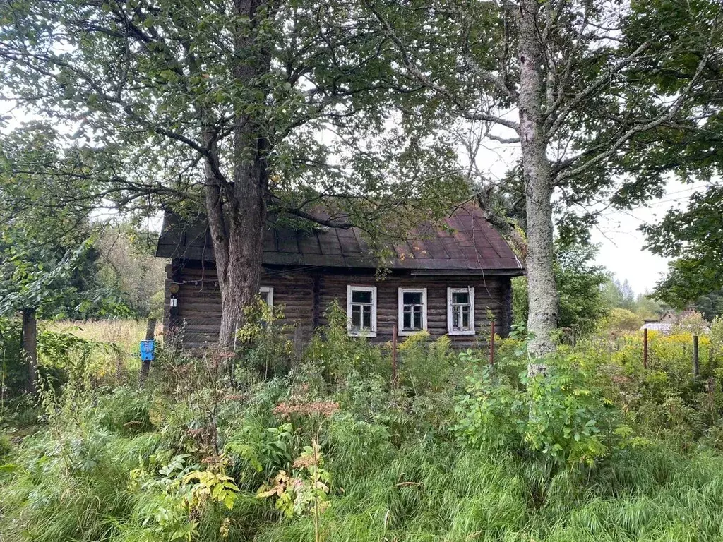 Участок в Новгородская область, Маловишерский район, Большевишерское ... - Фото 1