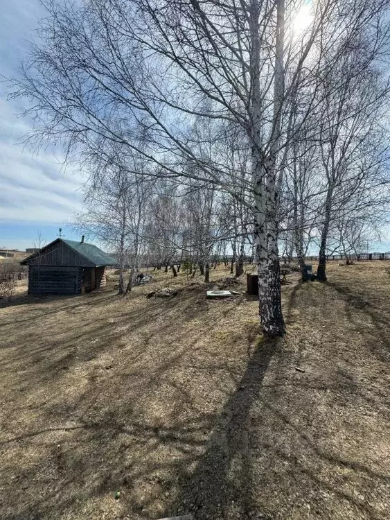 Дом в Иркутская область, Залари рп ул. Березовая, 5 (98 м) - Фото 2