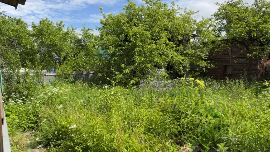 Дом в Московская область, Одинцовский городской округ, с. Жаворонки, ... - Фото 2