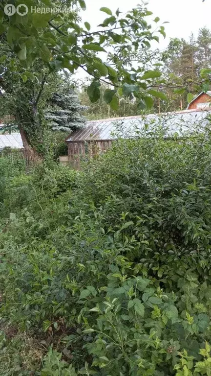 дом в свердловская область, посёлок городского типа верхнее дуброво . - Фото 1