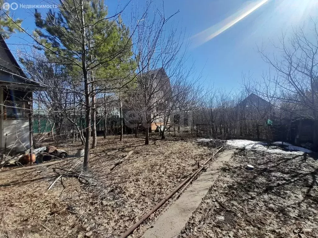 Участок в Нежинский сельсовет, СНТ Дубовая Роща, Ягодная улица (5 м) - Фото 2