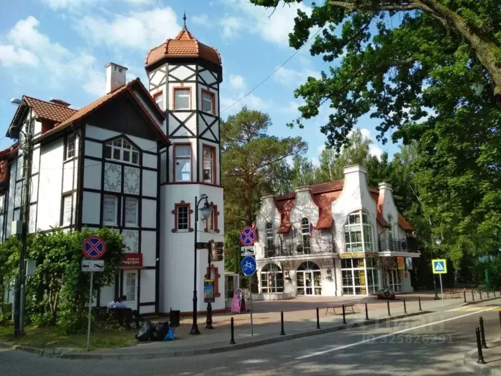 Комната Калининградская область, Светлогорск Центральная пл., 1 - Фото 1