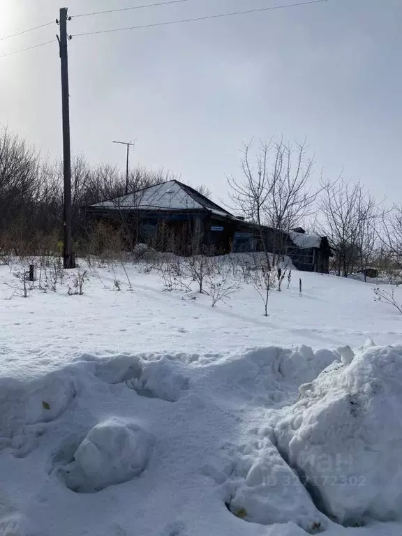 Дом в Алтайский край, Ребрихинский район, с. Подстепное пер. Доронина, ... - Фото 2