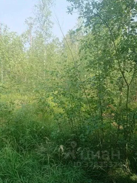 Участок в Саха (Якутия), Якутск Сергеляхское ш. (10.0 сот.) - Фото 1