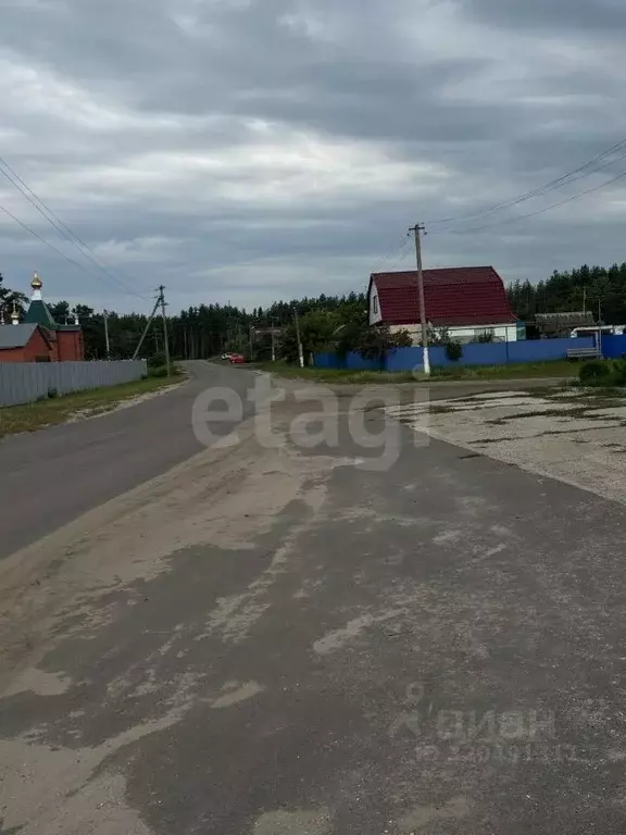 Торговая площадь в Саратовская область, Балашовский район, с. Репное ... - Фото 2