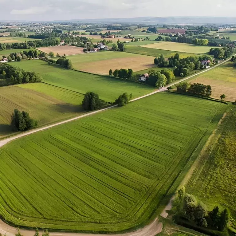 Участок в Калужская область, Тарусский муниципальный округ, Алекино ... - Фото 1