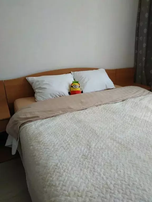 1-к кв. Московская область, Дмитров Сенная ул., 24 (36.0 м) - Фото 2