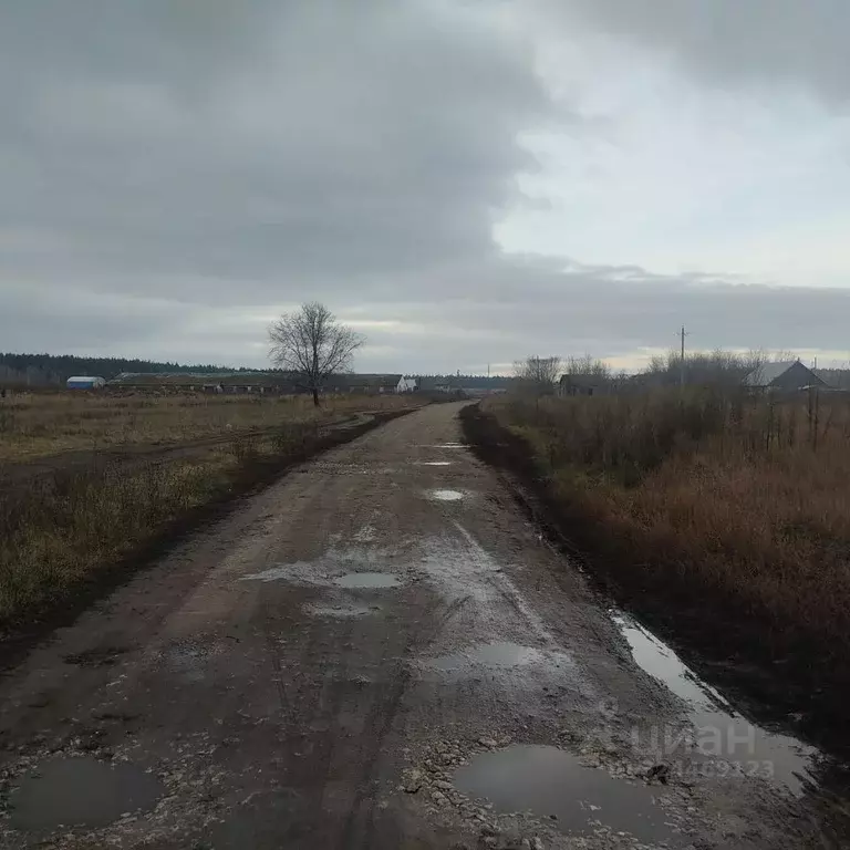 Участок в Ульяновская область, Чердаклинский район, ... - Фото 2