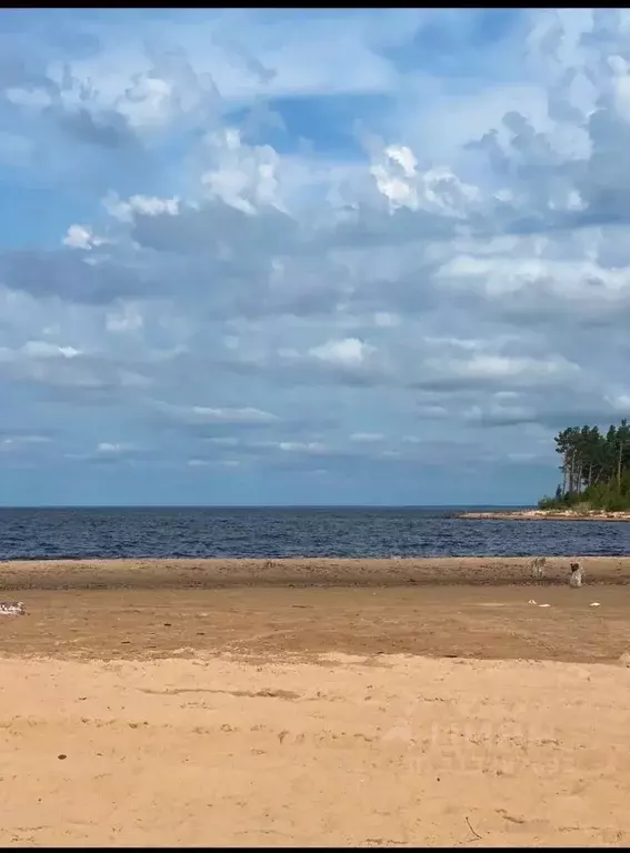 Участок в Вологодская область, Вытегорский район, Андомское с/пос, д. ... - Фото 0