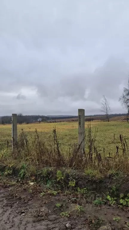 Участок в Курская область, Курский район, Нижнемедведицкий сельсовет, ... - Фото 2